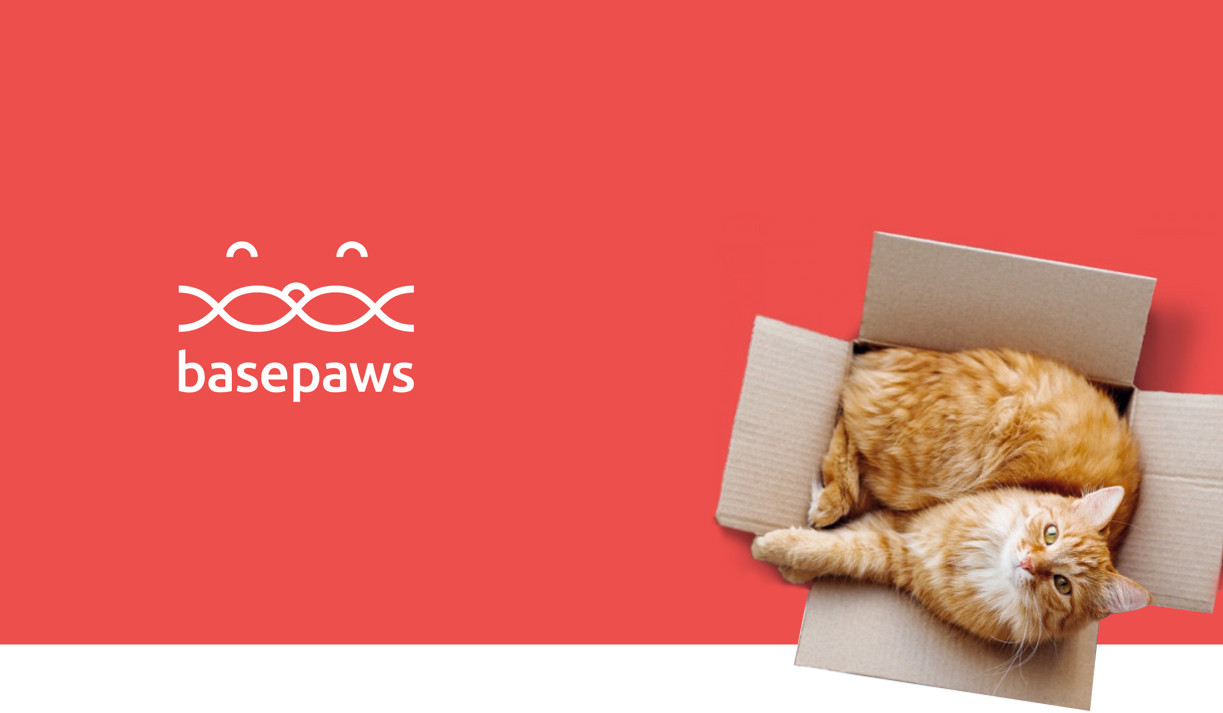 Basepaws