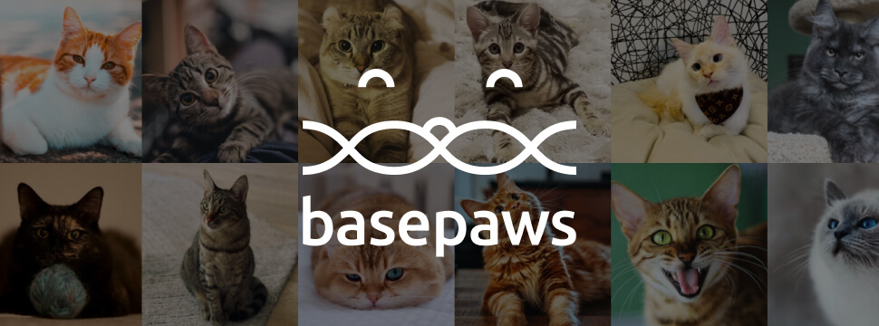 basepaws